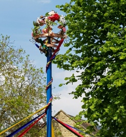 maypole crown